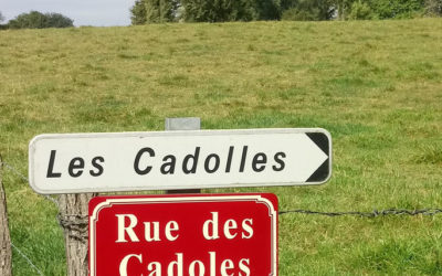 Les abris