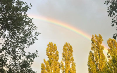 Après l’orage