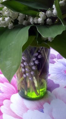 1er mai verre à muguet
